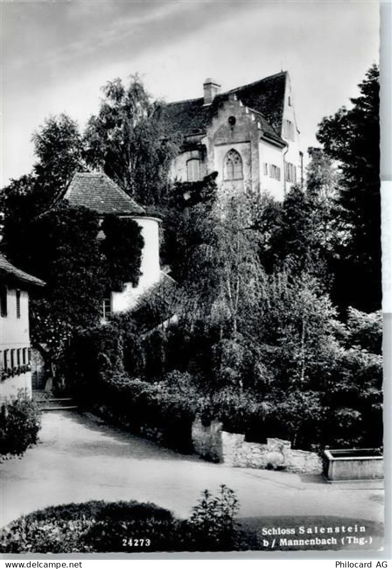 8268 Mannenbach-Salenstein - Schloss Salenstein - 50799799