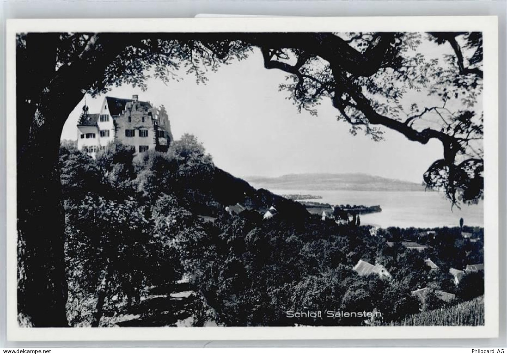 8268 Mannenbach-Salenstein - Schloss Salenstein - 50813306