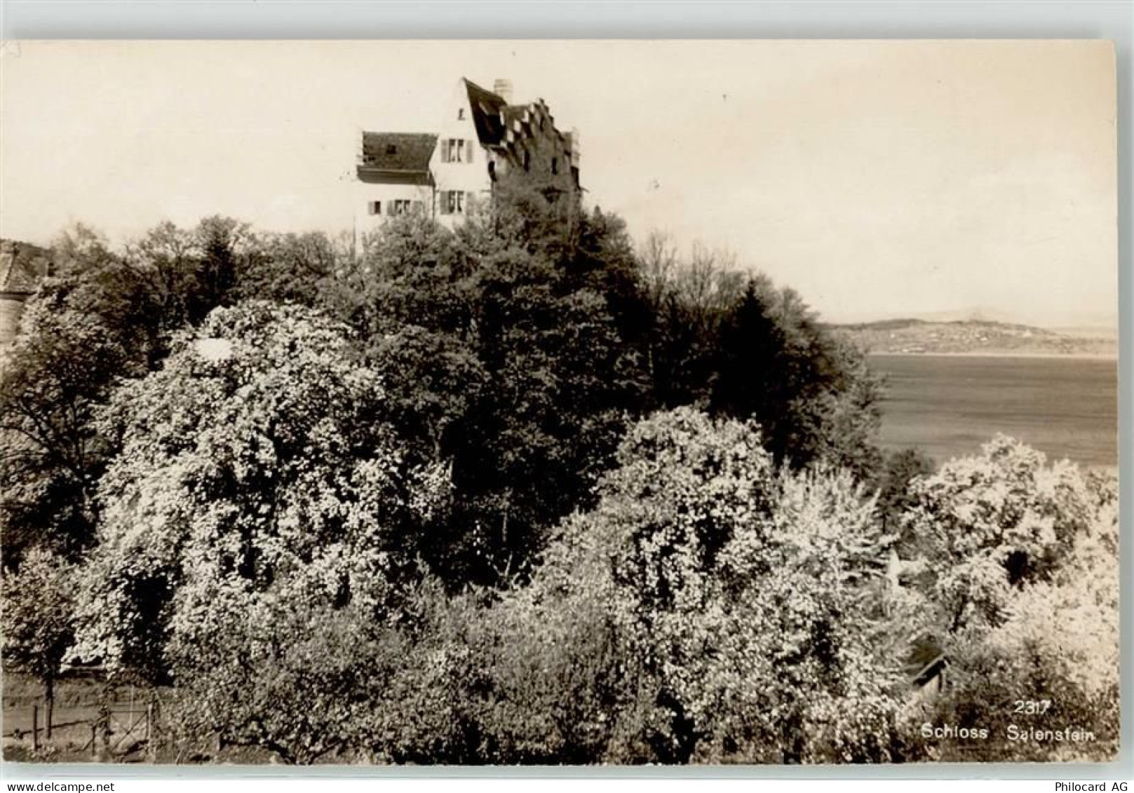 8268 Salenstein - Schloss - 52050280