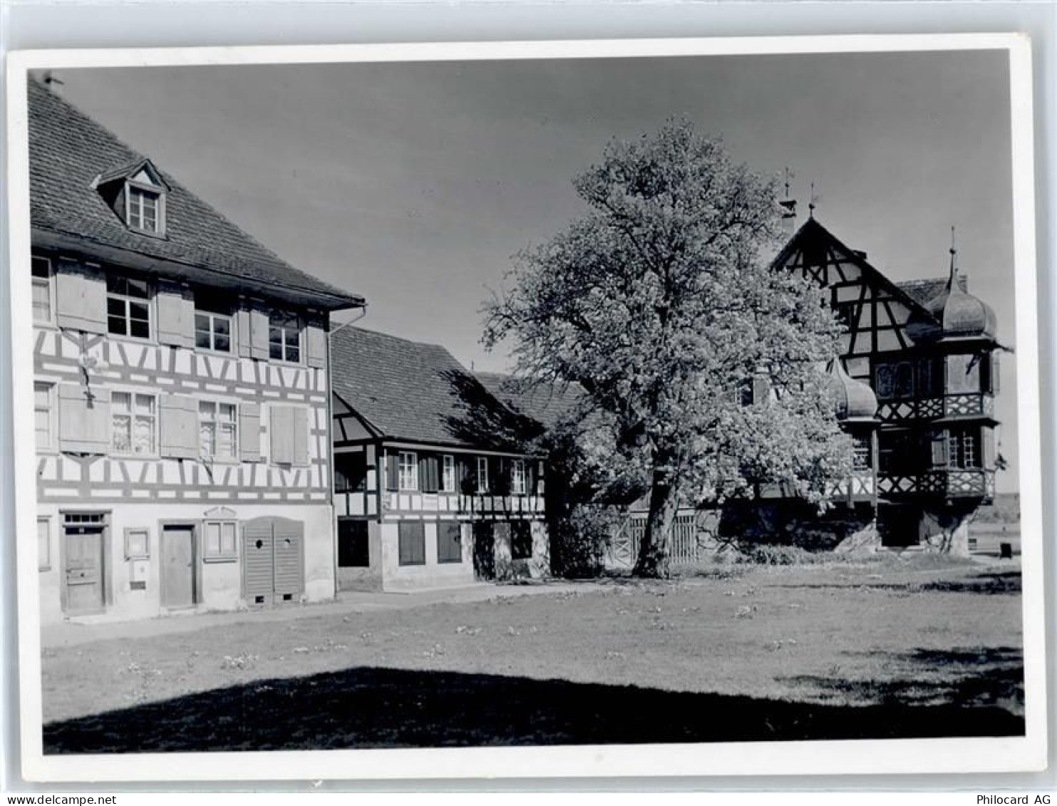 8274 Gottlieben - 51300422