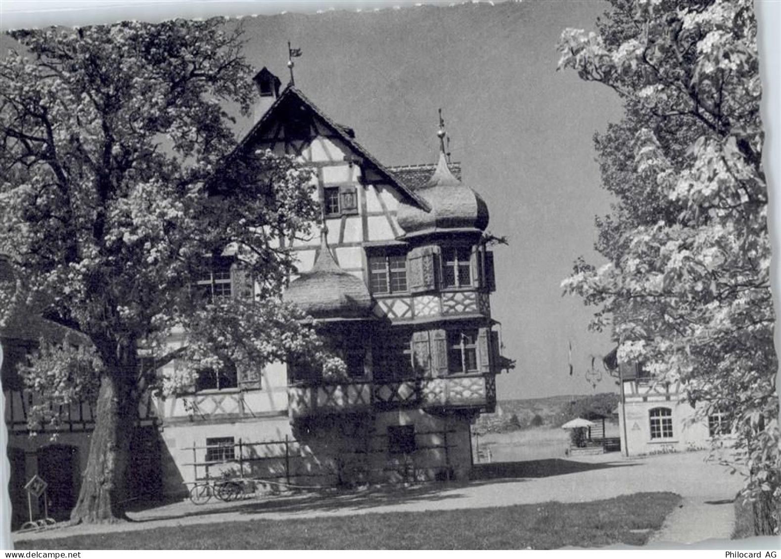 8274 Gottlieben - Dorfpartie - 50799674