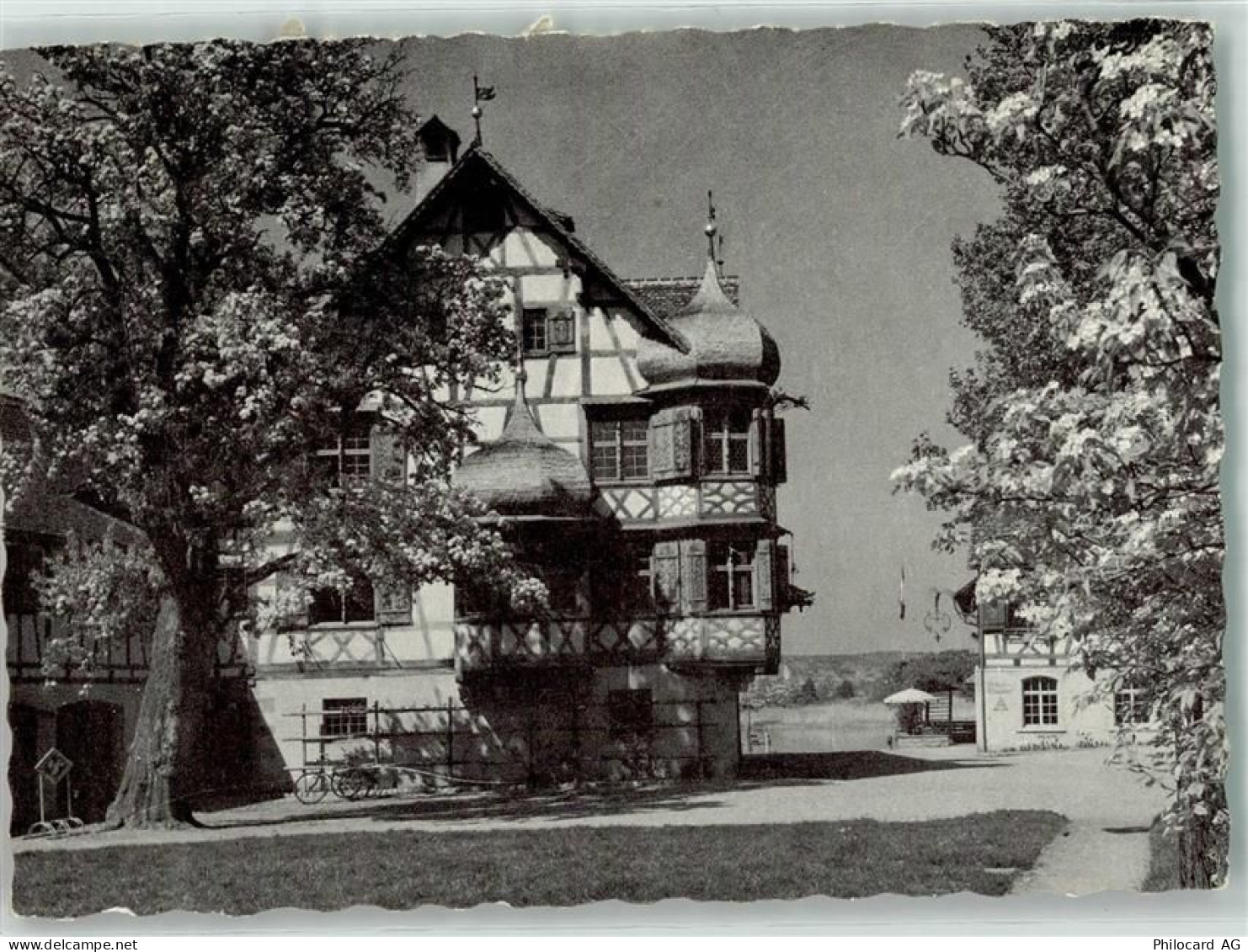 8274 Gottlieben - Drachenburg - 39691320