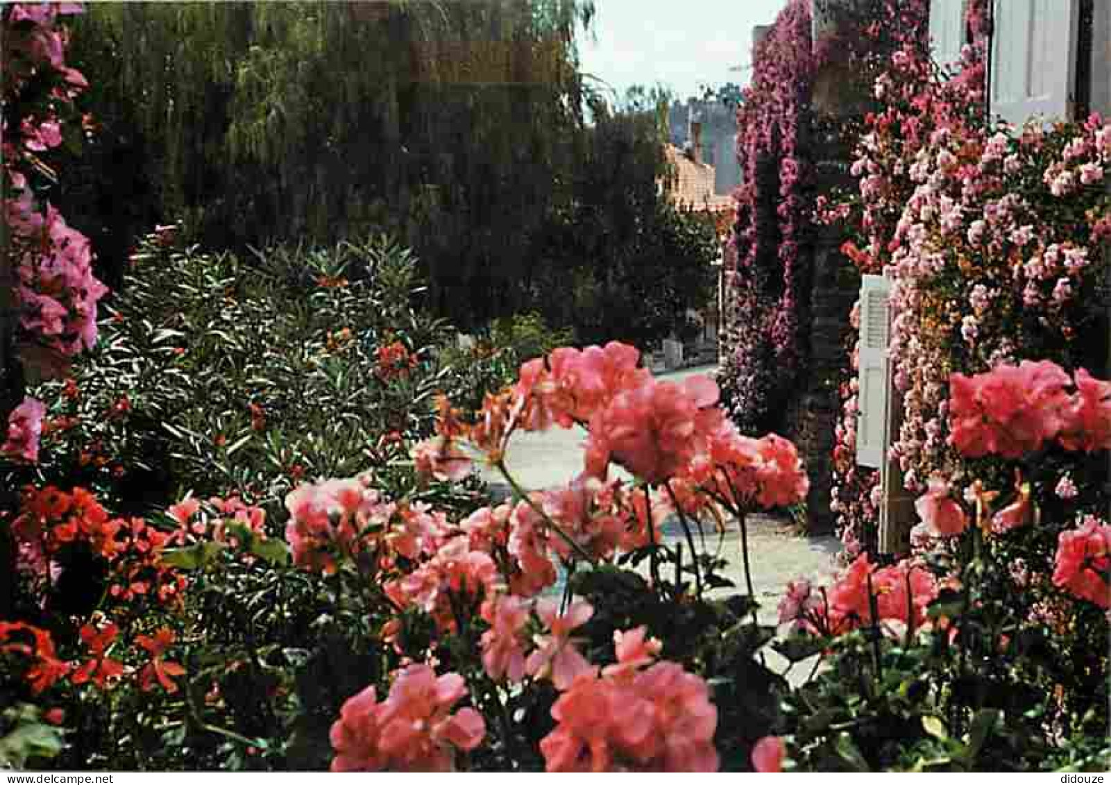 83 - Bormes les Mimosas - Circuit fleuri - Fleurs - CPM - Voir Scans Recto-Verso
