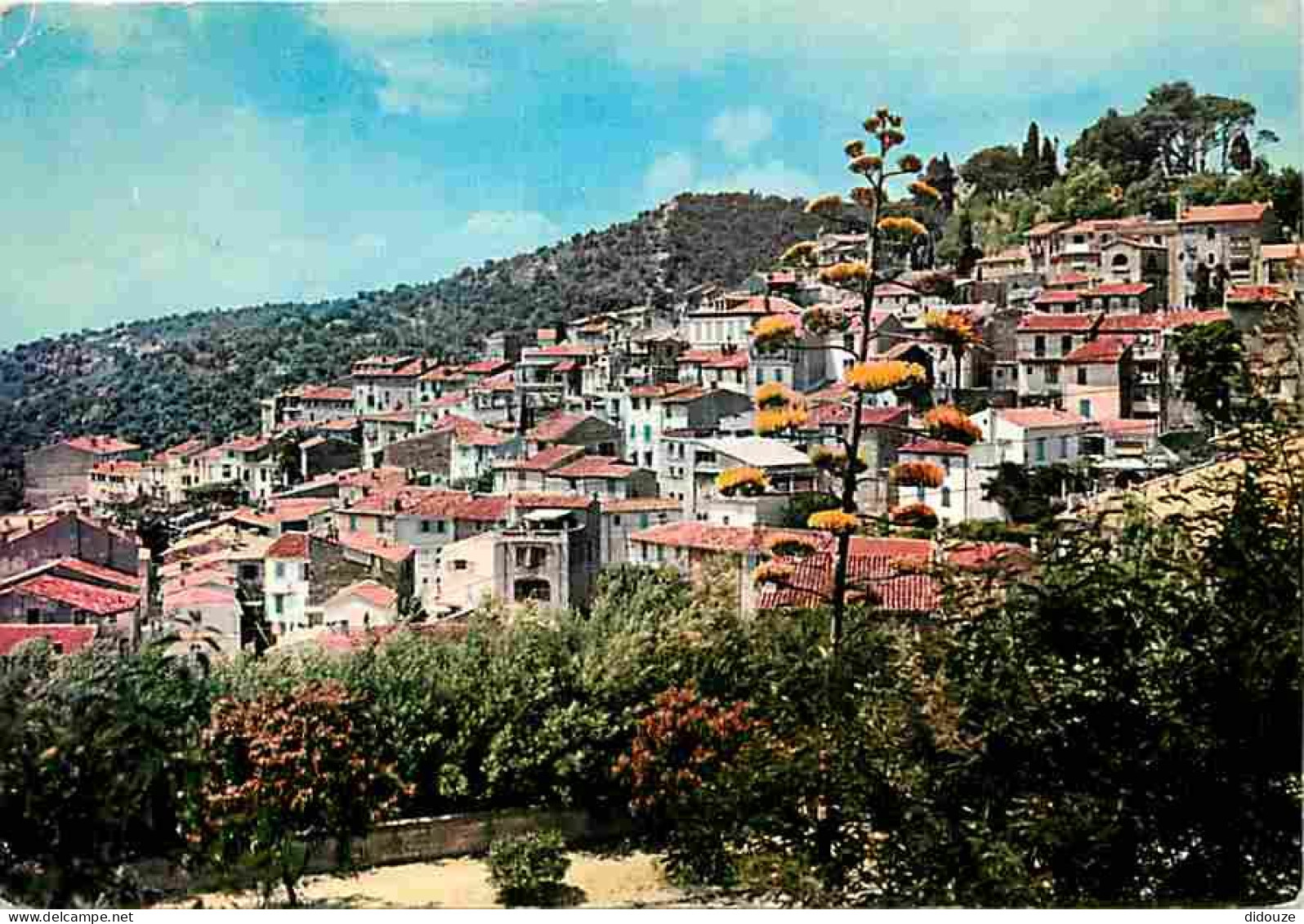 83 - Bormes les Mimosas - Vue Générale - CPM - Voir Scans Recto-Verso