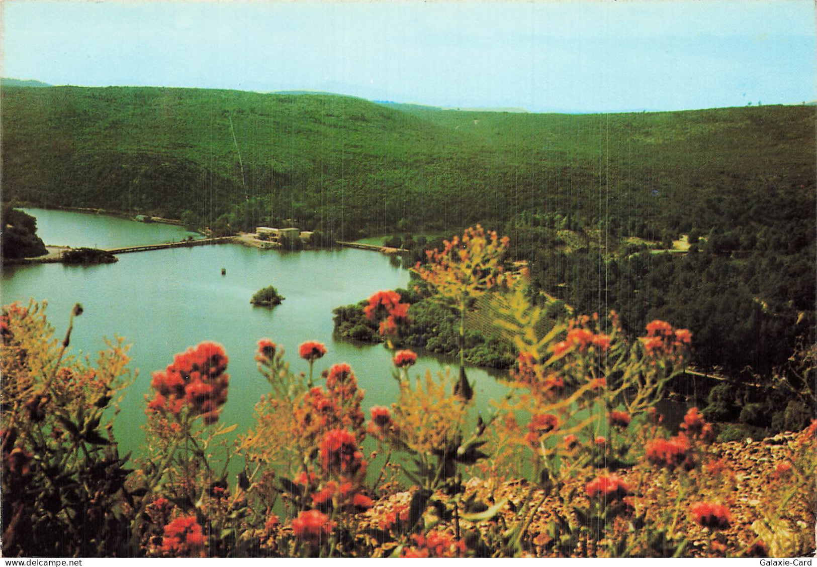 83 CARCES LAC DE CARCES