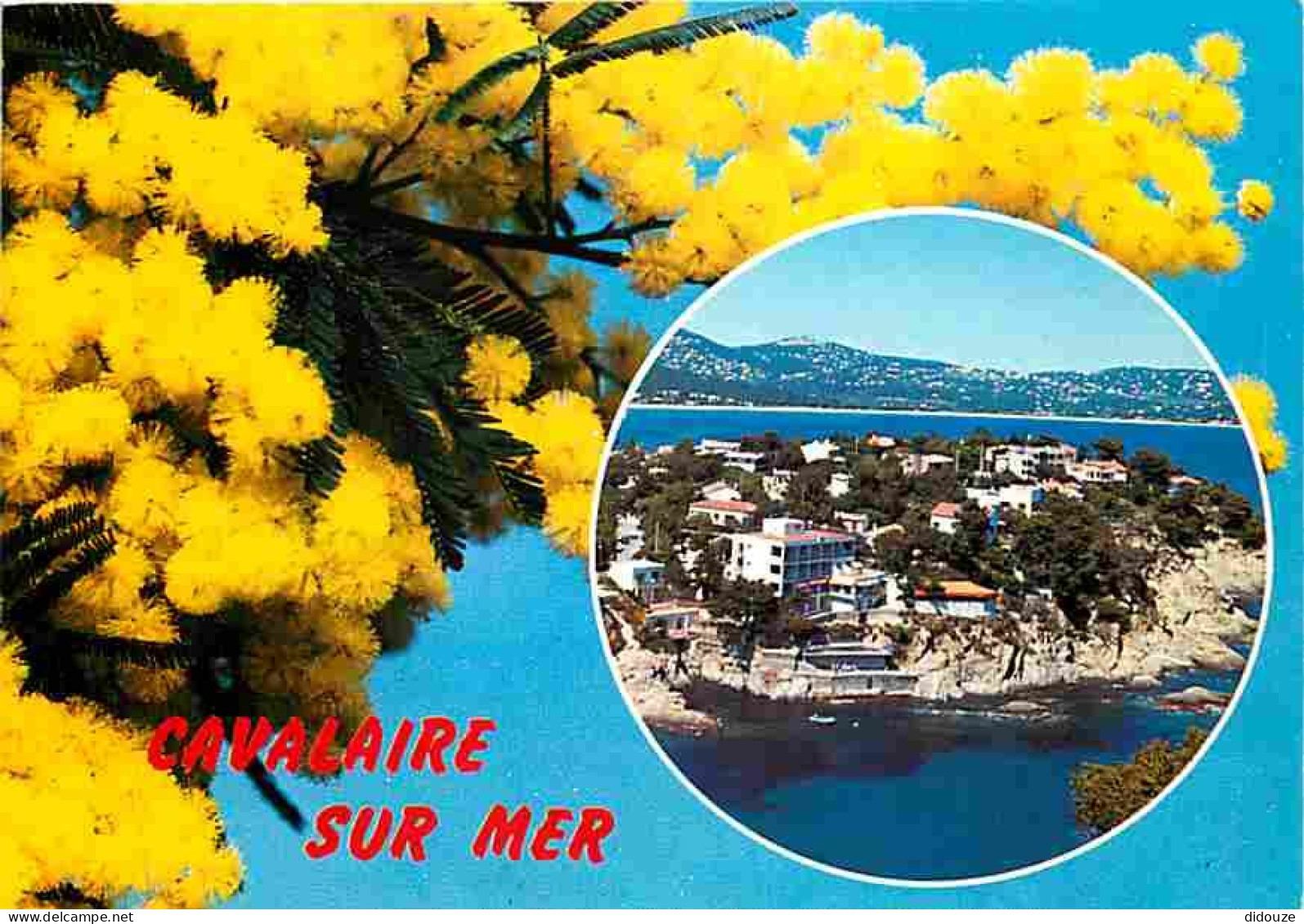 83 - Cavalaire sur Mer - Le Cap - CPM - Voir Scans Recto-Verso