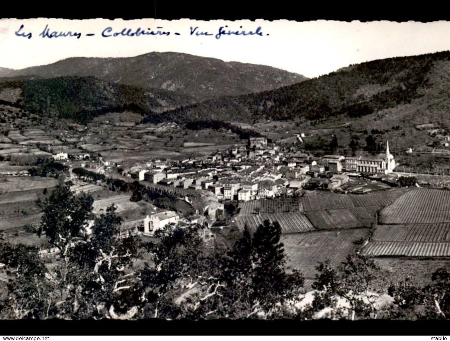 83 - COLLOBRIERES - VUE GENERALE