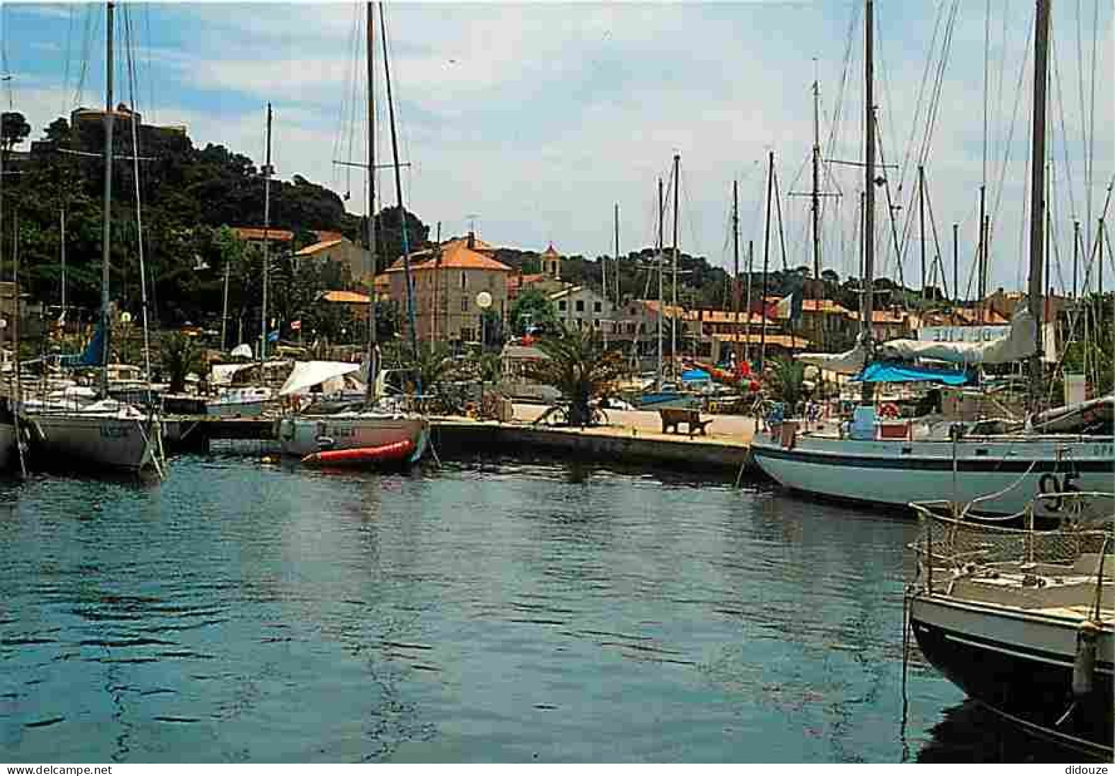 83 - Ile de Porquerolles - Carte Neuve - CPM - Voir Scans Recto-Verso