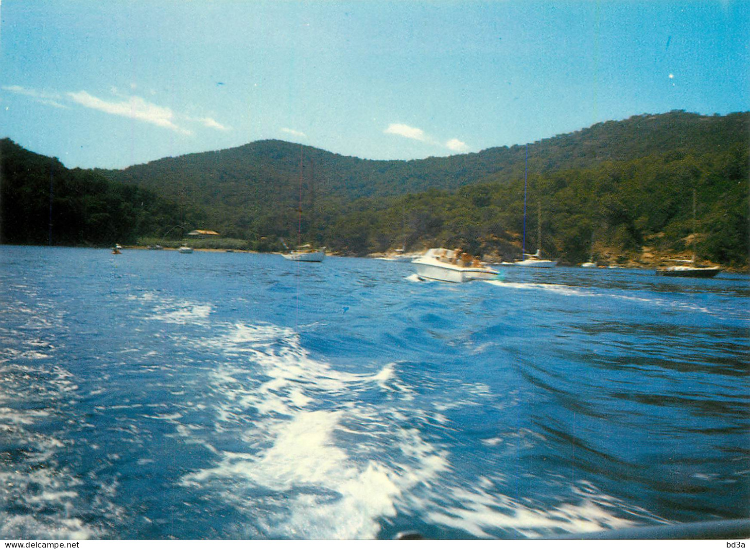 83 ILE DE PORT CROS PORT MAN