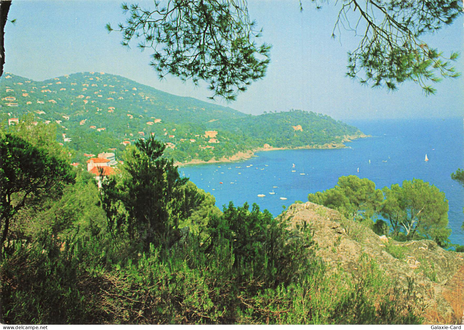 83 LE RAYOL CANADEL SUR MER ECHAPPEE SUR LE RAYOL