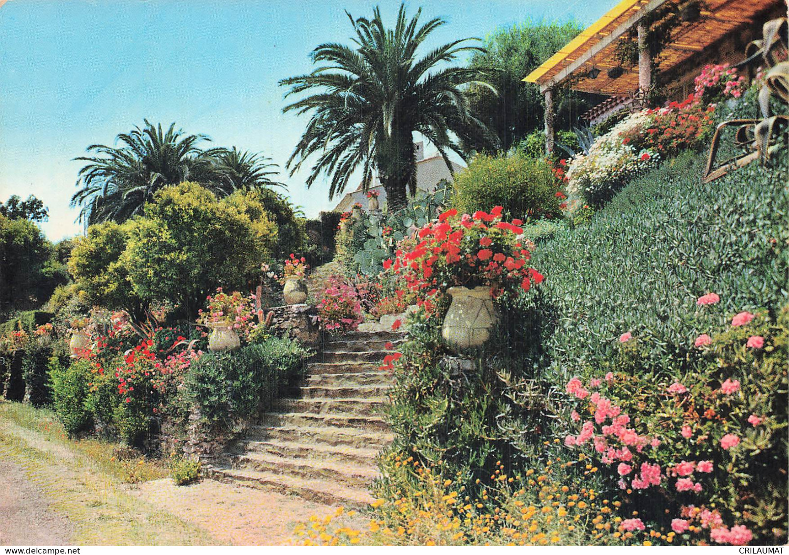 83 LE RAYOL CANADEL SUR MER ESCALIER HENRI