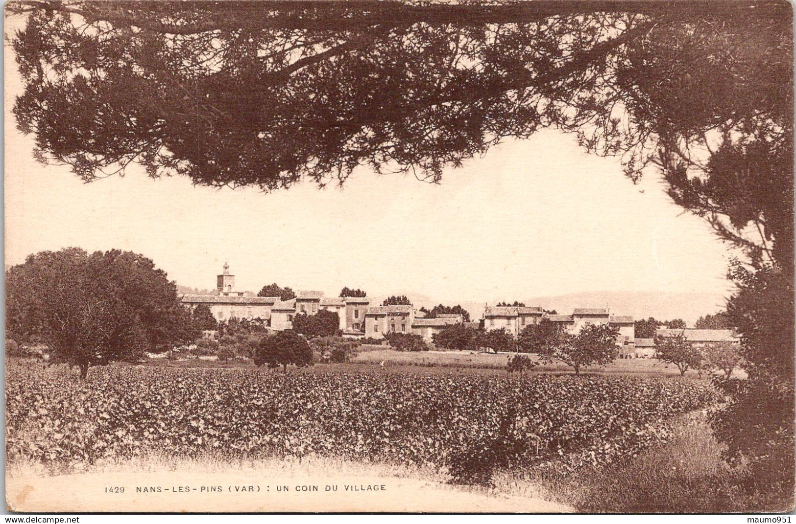 83 NANS LES PINS