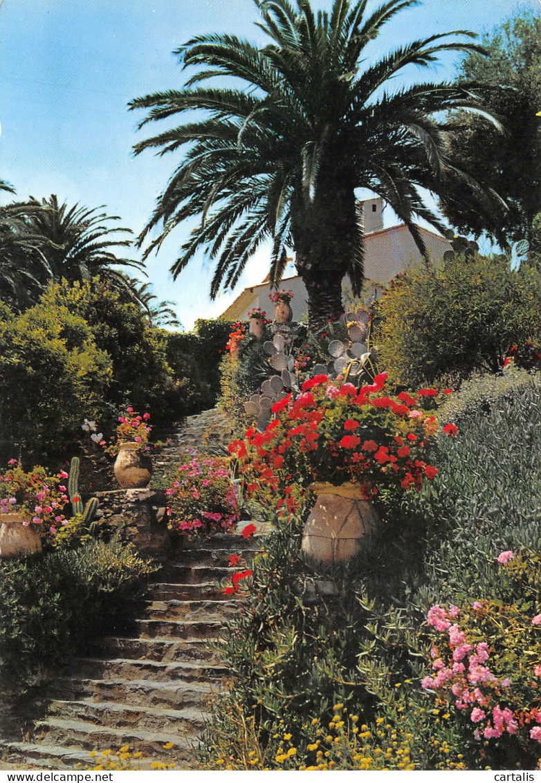 83-RAYOL-N°3842-D/0365