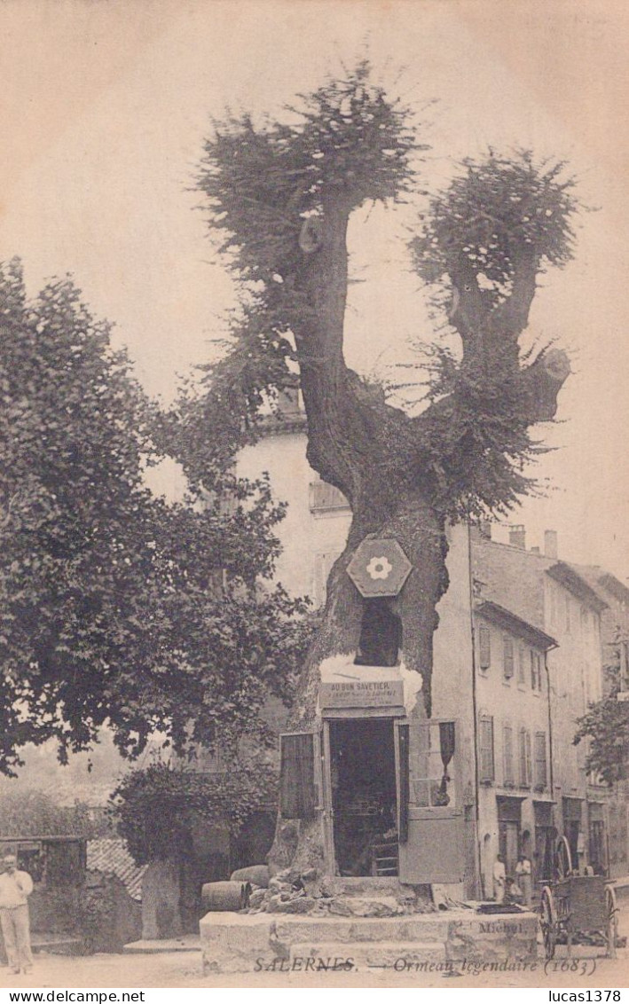 83 / SALERNES / ORMEAU LEGENDAIRE