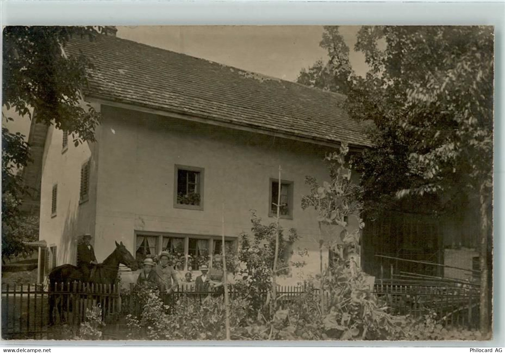 8320 Fehraltorf Foto AK Pferd Ort handschriftlich - 13414269