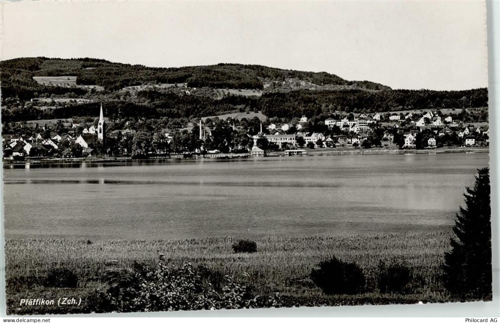 8330 Pfäffikon ZH - 52039055