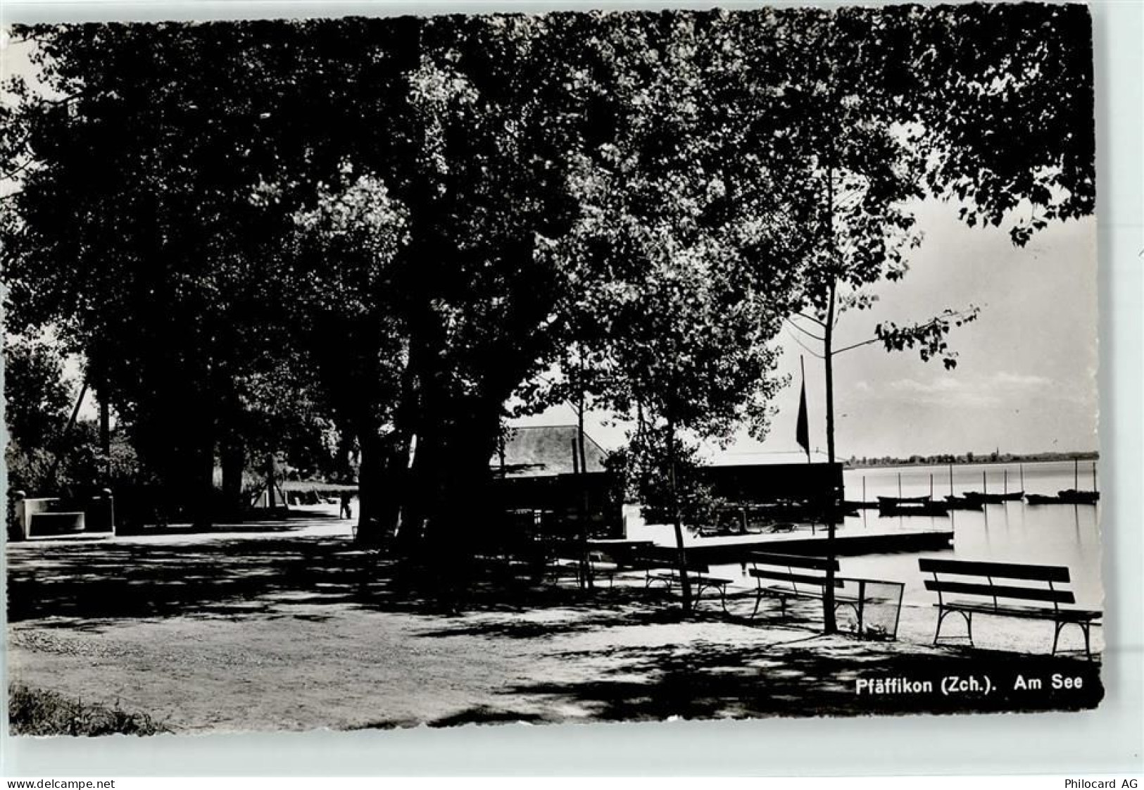 8330 Pfäffikon ZH - 52039060