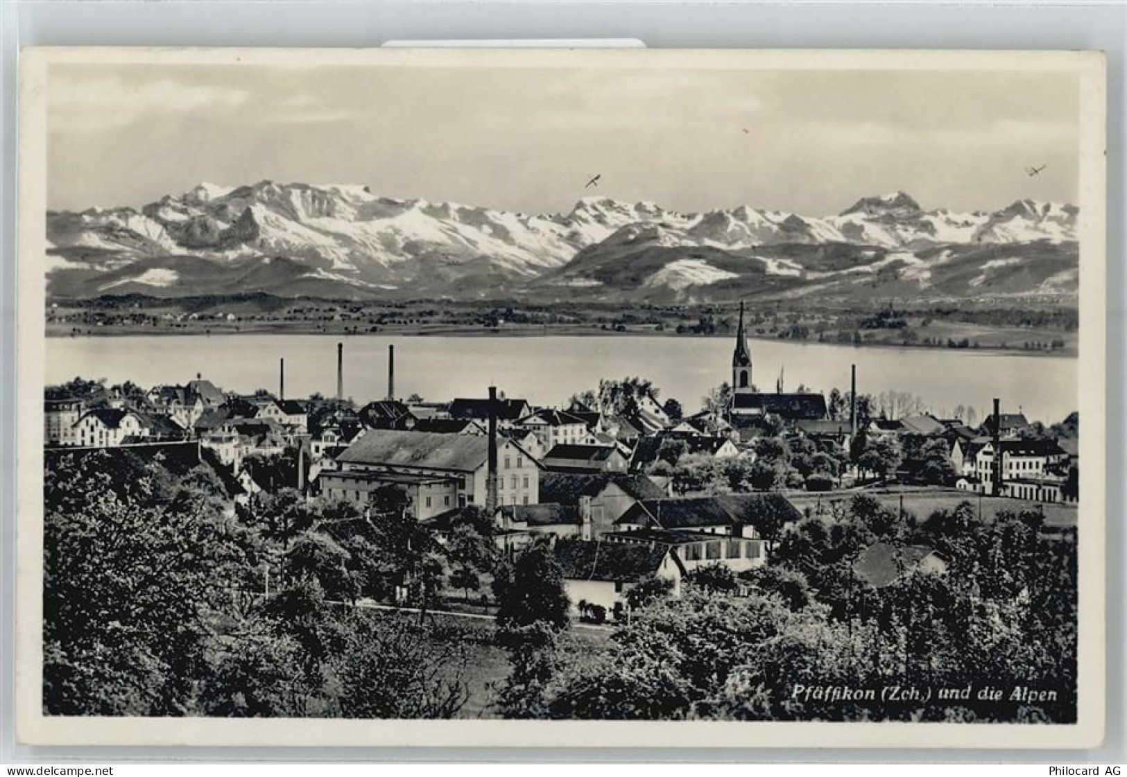 8330 Pfäffikon ZH - Blick auf die Alpen - 51171265