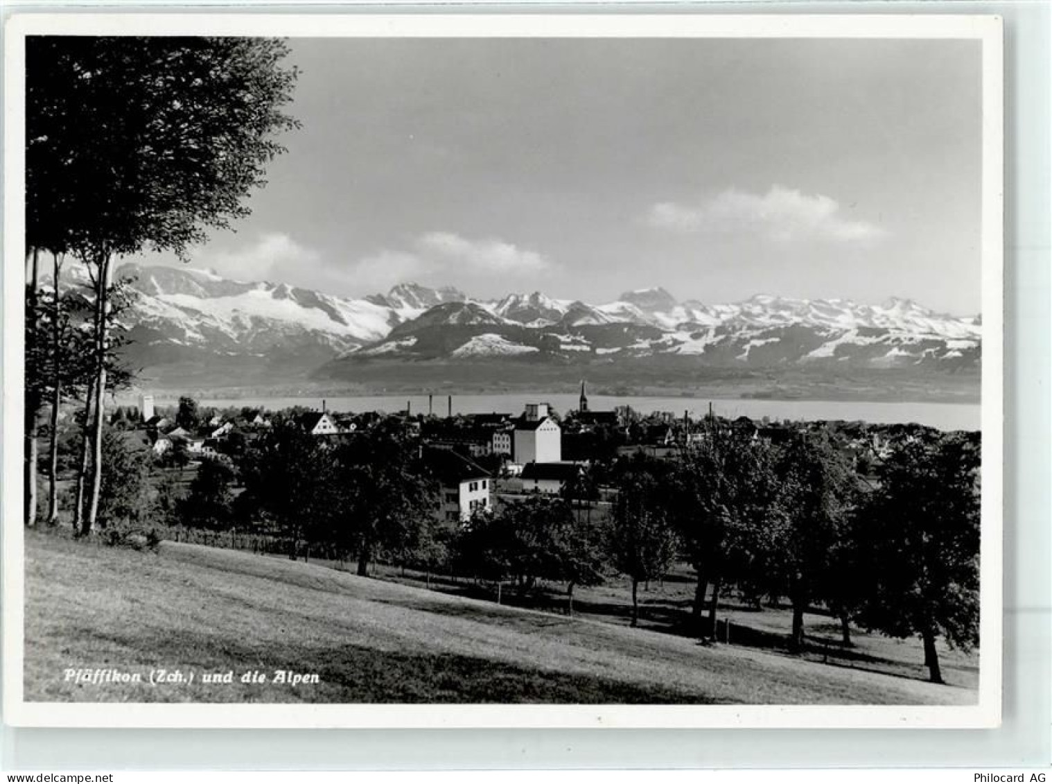 8330 Pfäffikon ZH Foto AK - 52039018
