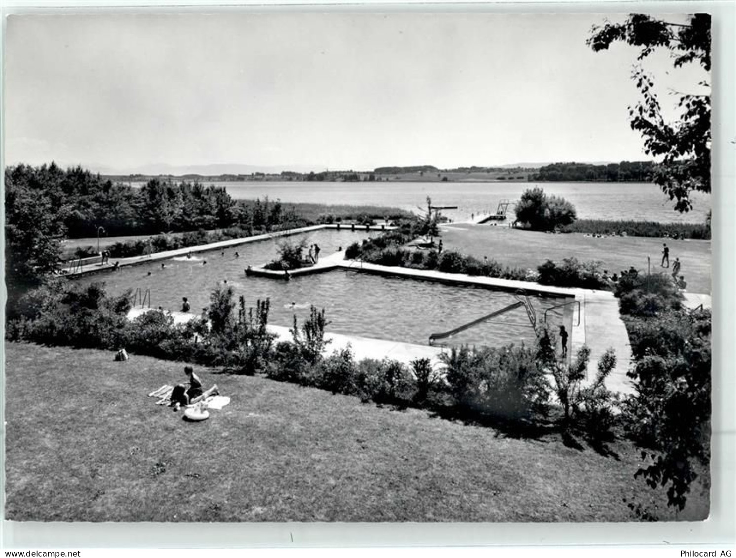 8330 Pfäffikon ZH Foto AK Schwimmbad - 52039015