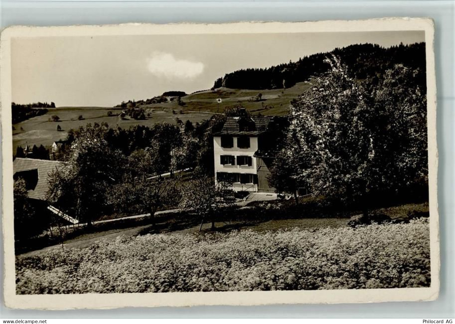 8340 Hinwil Foto AK Berghäuschen , Bodenacker, ca 1929 AK - 13056964