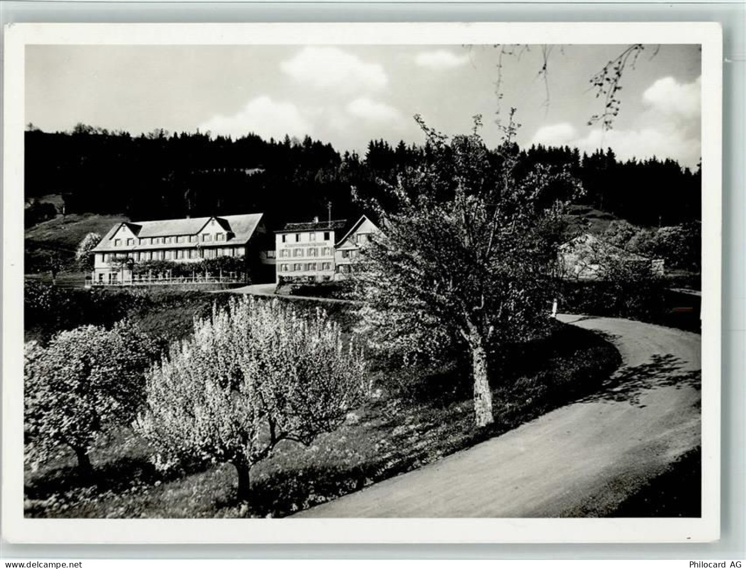 8340 Hinwil - Kurhaus Hasenstrick am Bachtel - 10159133