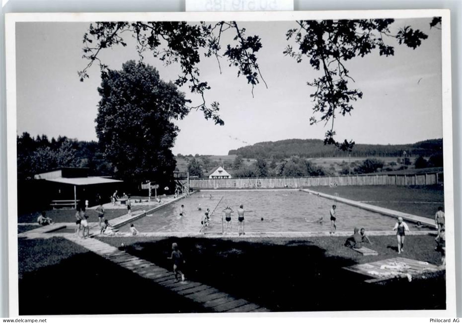 8353 Elgg - Schwimmbad - 50519185