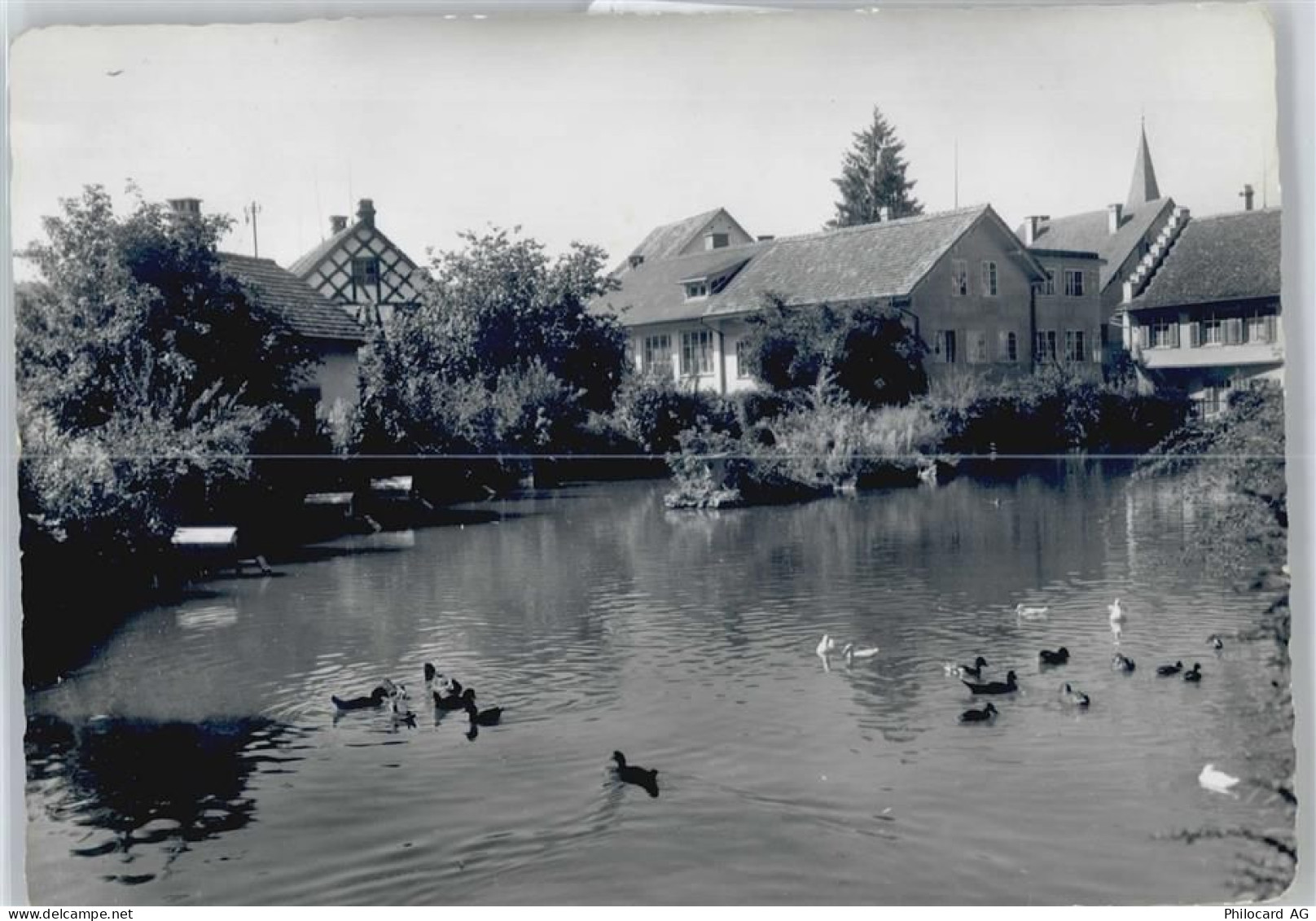 8353 Elgg - Torweiher - 50564578