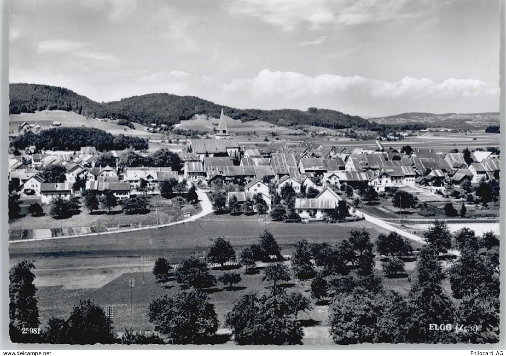 8353 Elgg - Totalansicht - 51211501