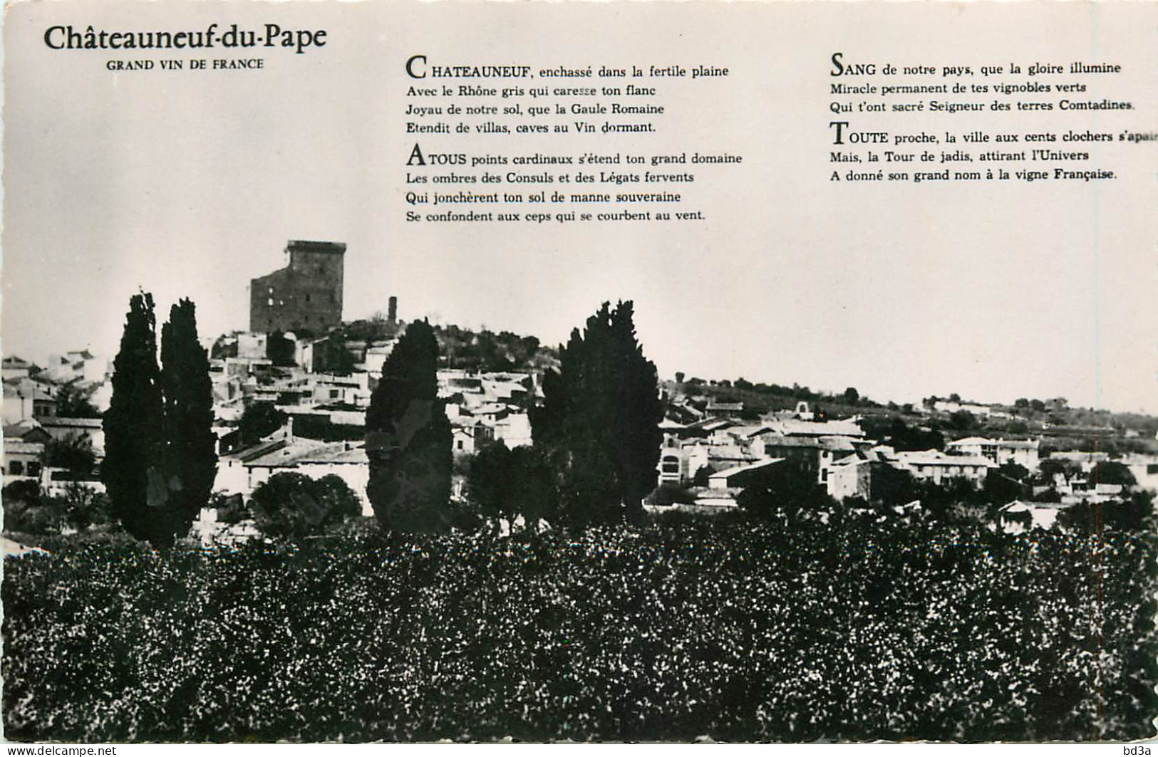 84 - CHÂTEAUNEUF DU PAPE