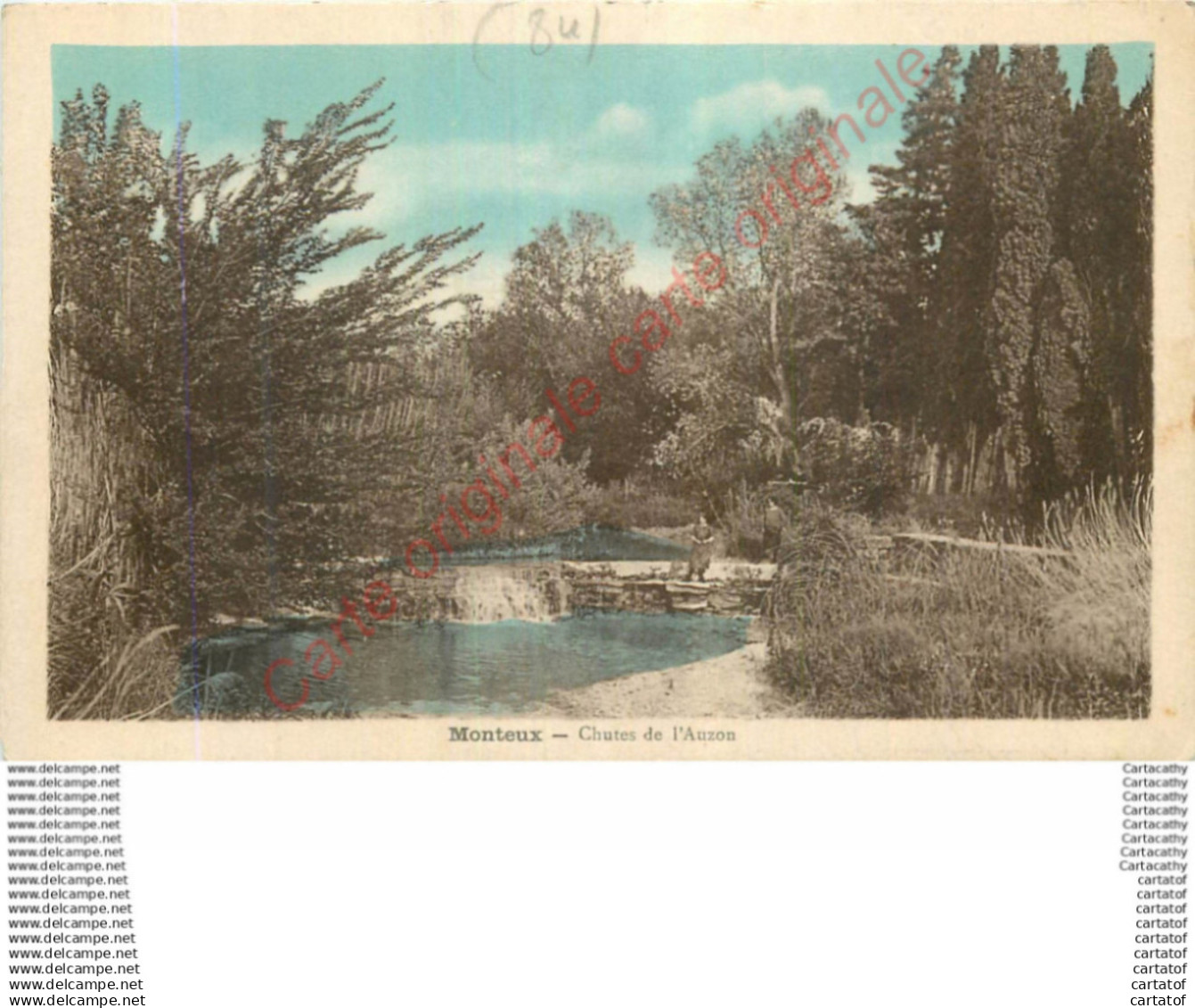 84.  MONTEUX .  Chutes de l'Auzon .
