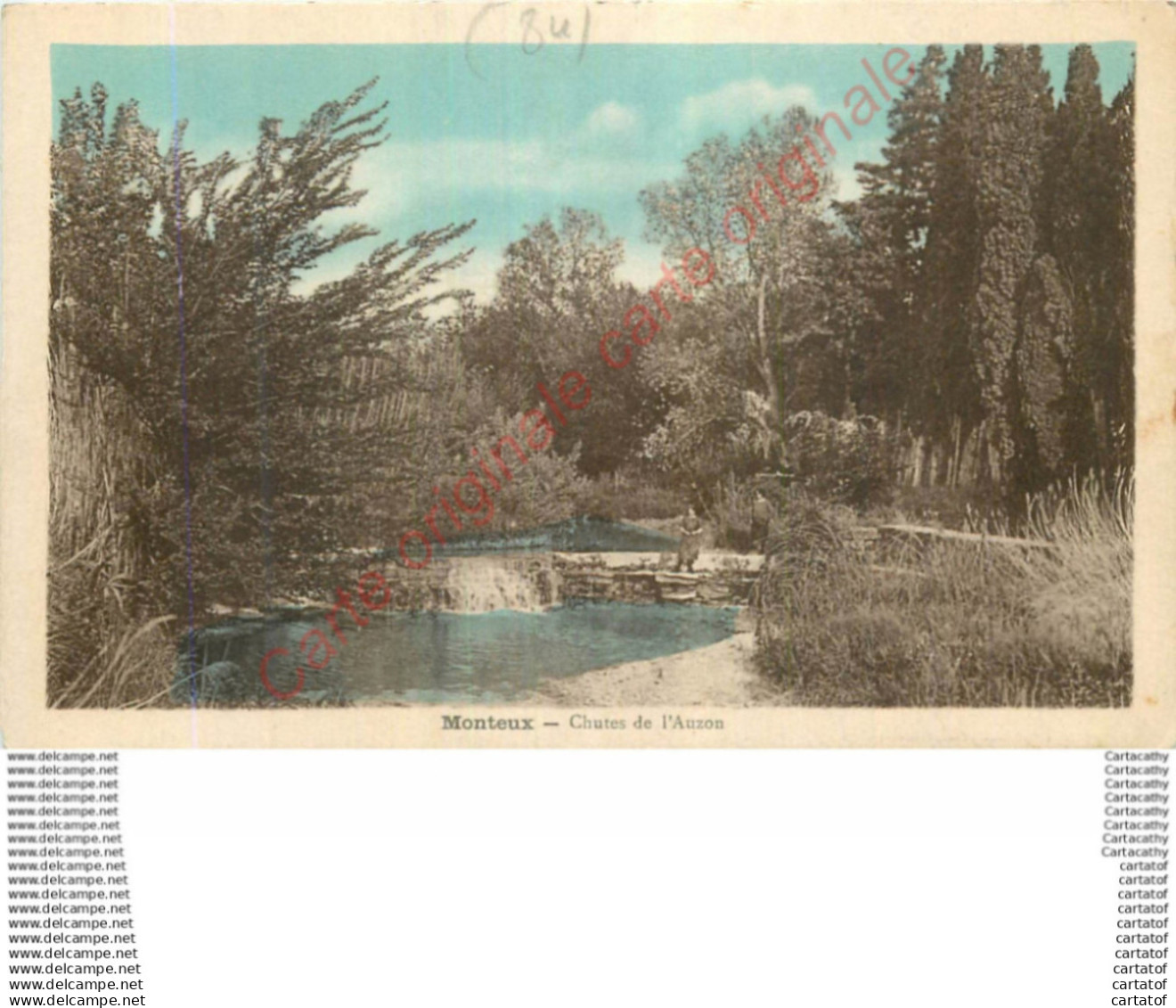 84.  MONTEUX .  Chutes de l'Auzon .