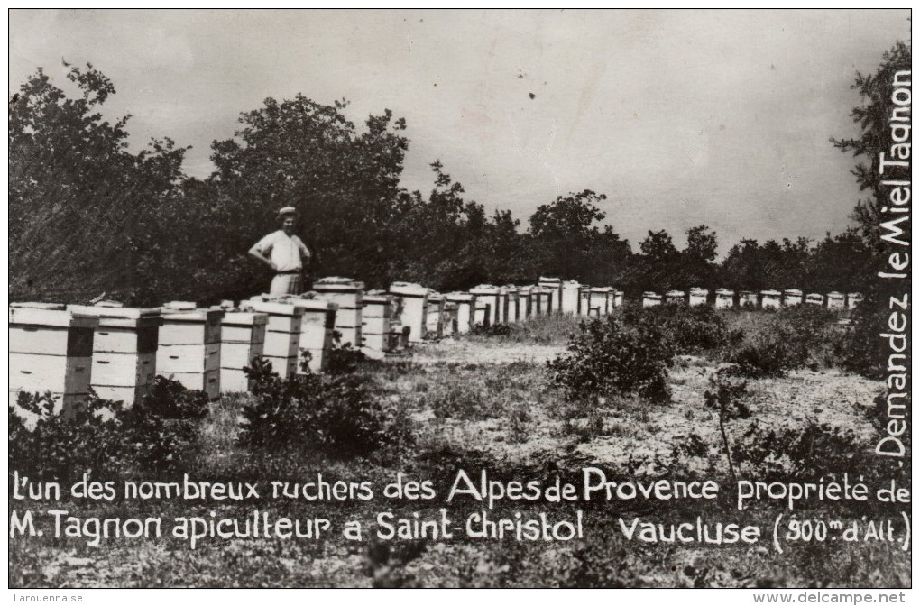 84 - SAINT CHRISTOL  M.Tagnon apiculteur