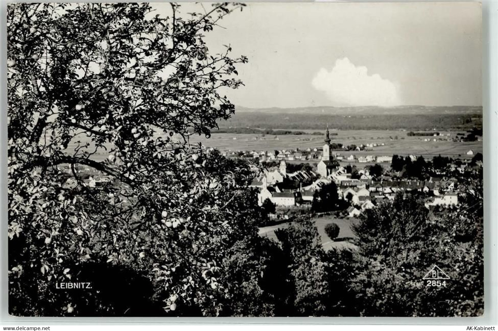 8430 Leibnitz - 52060255