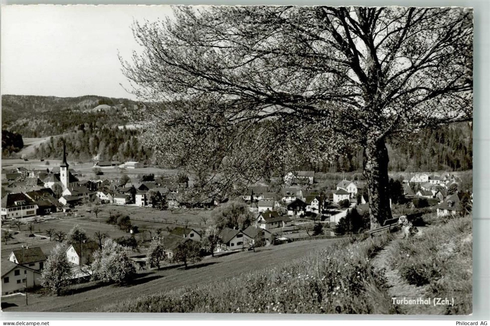 8488 Turbenthal Foto AK - 38025136