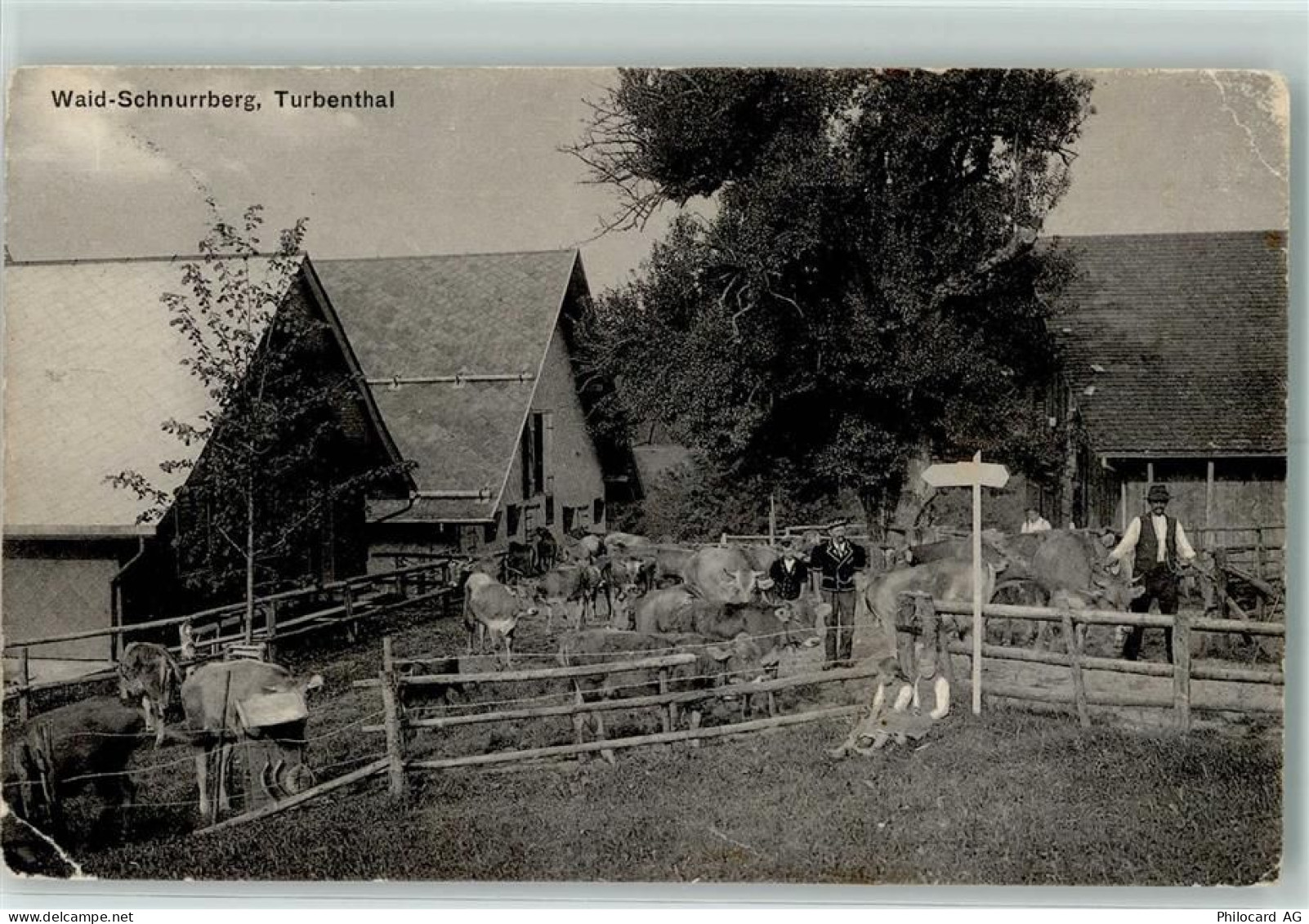 8488 Turbenthal Gebrauchsspuren Waid-Schnurrberg - 13146310