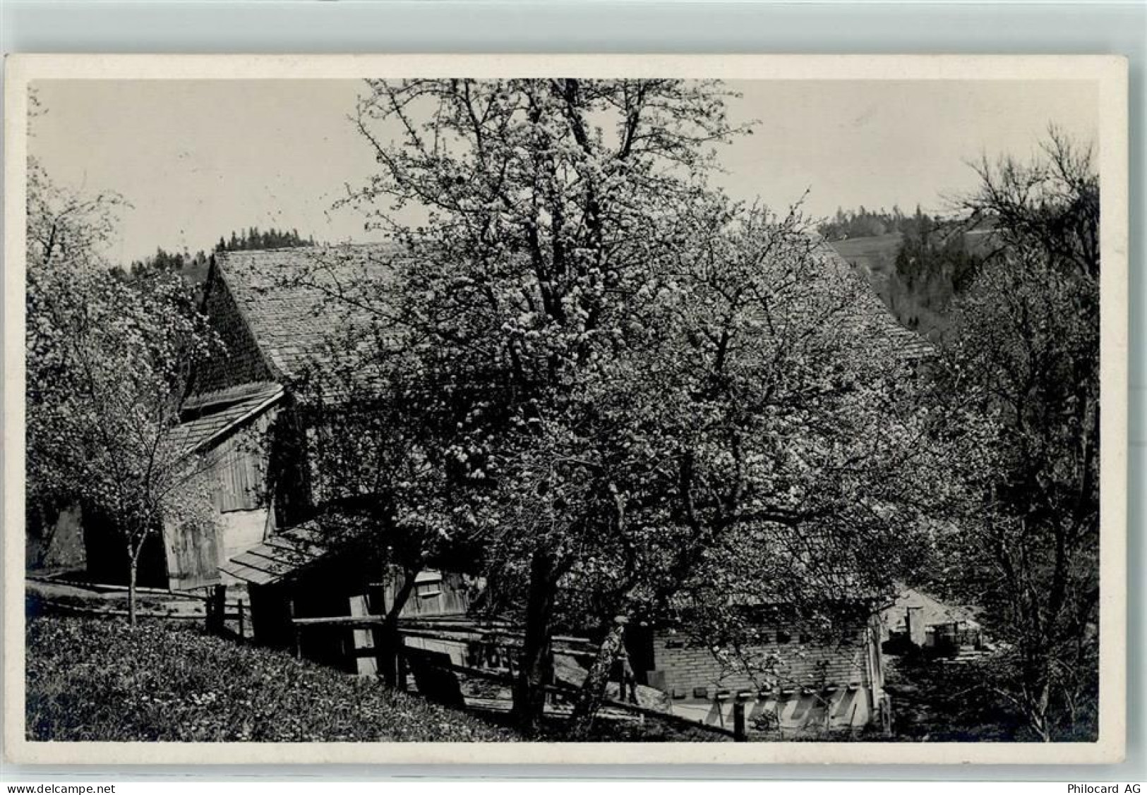 8492 Wila Ottenhub 1924 - 10395350