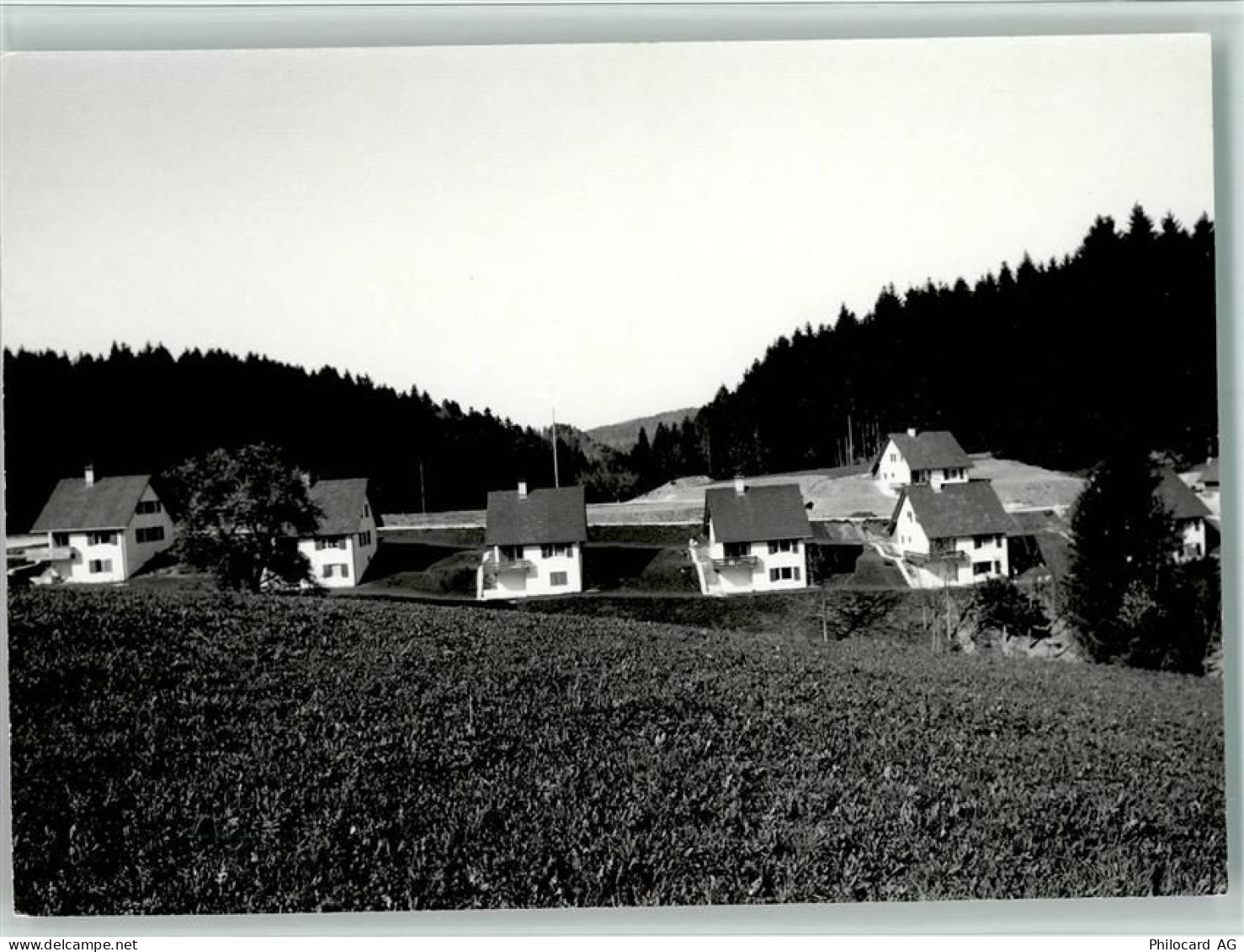 8494 Bauma - 13094523