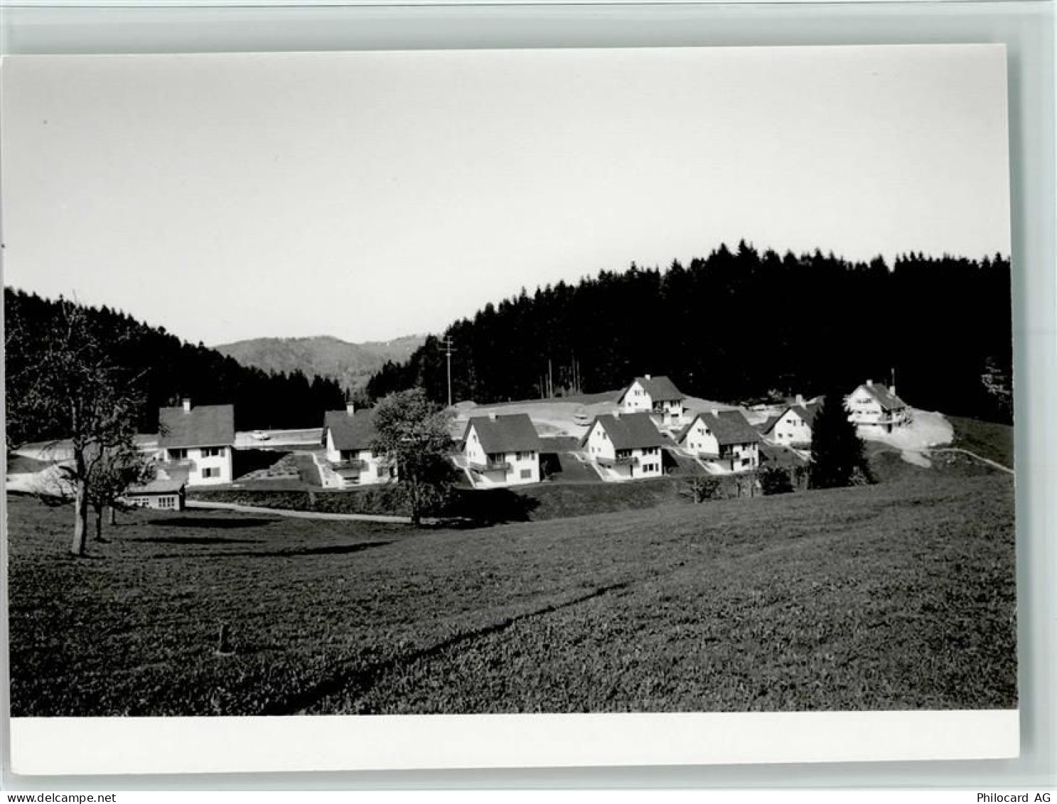 8494 Bauma - 13094524