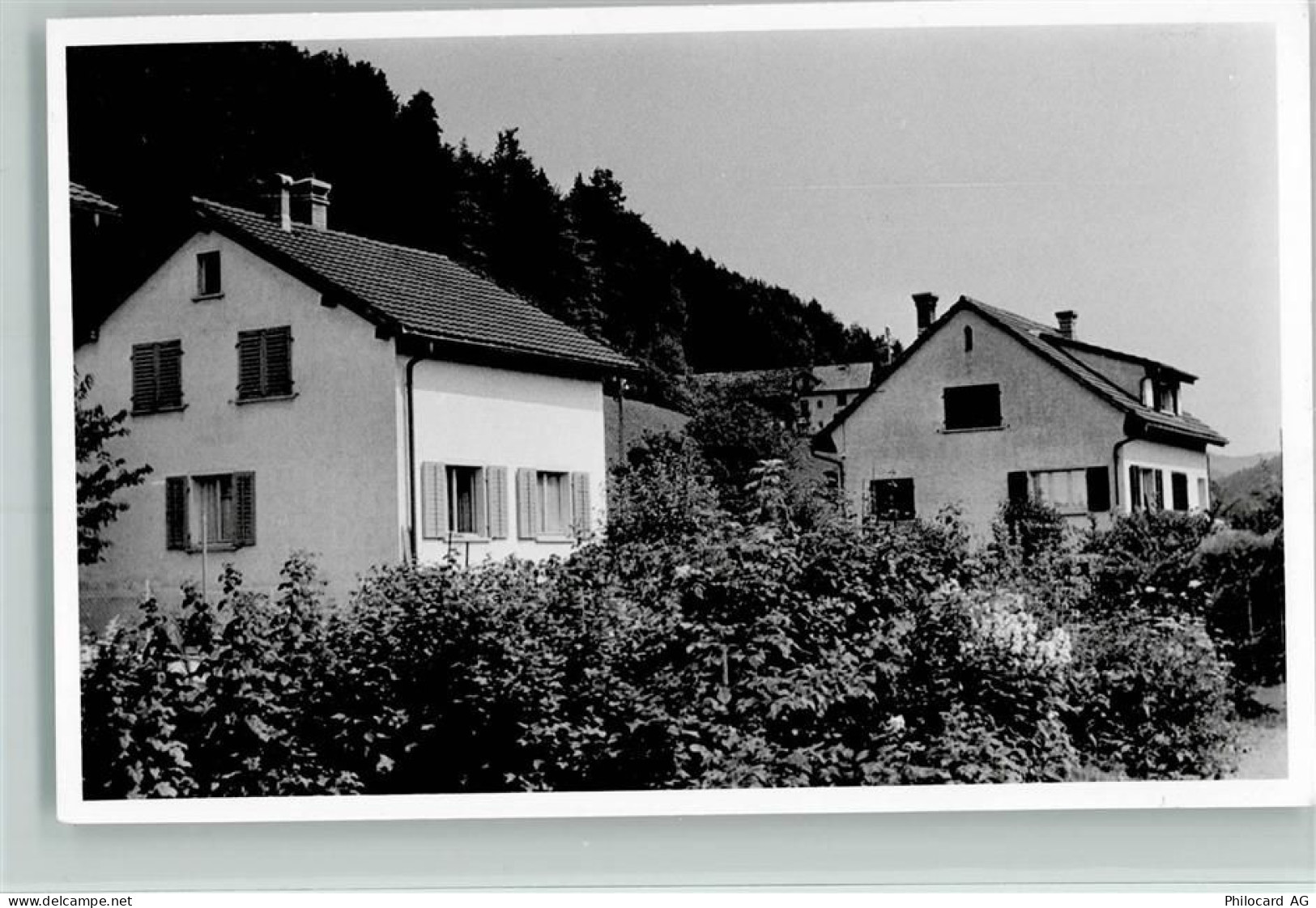 8494 Bauma - 13094626