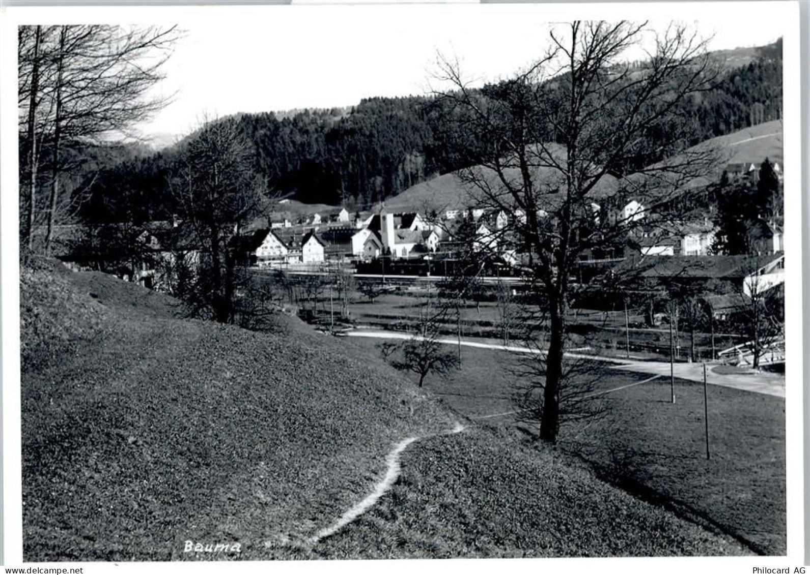 8494 Bauma - 50798898