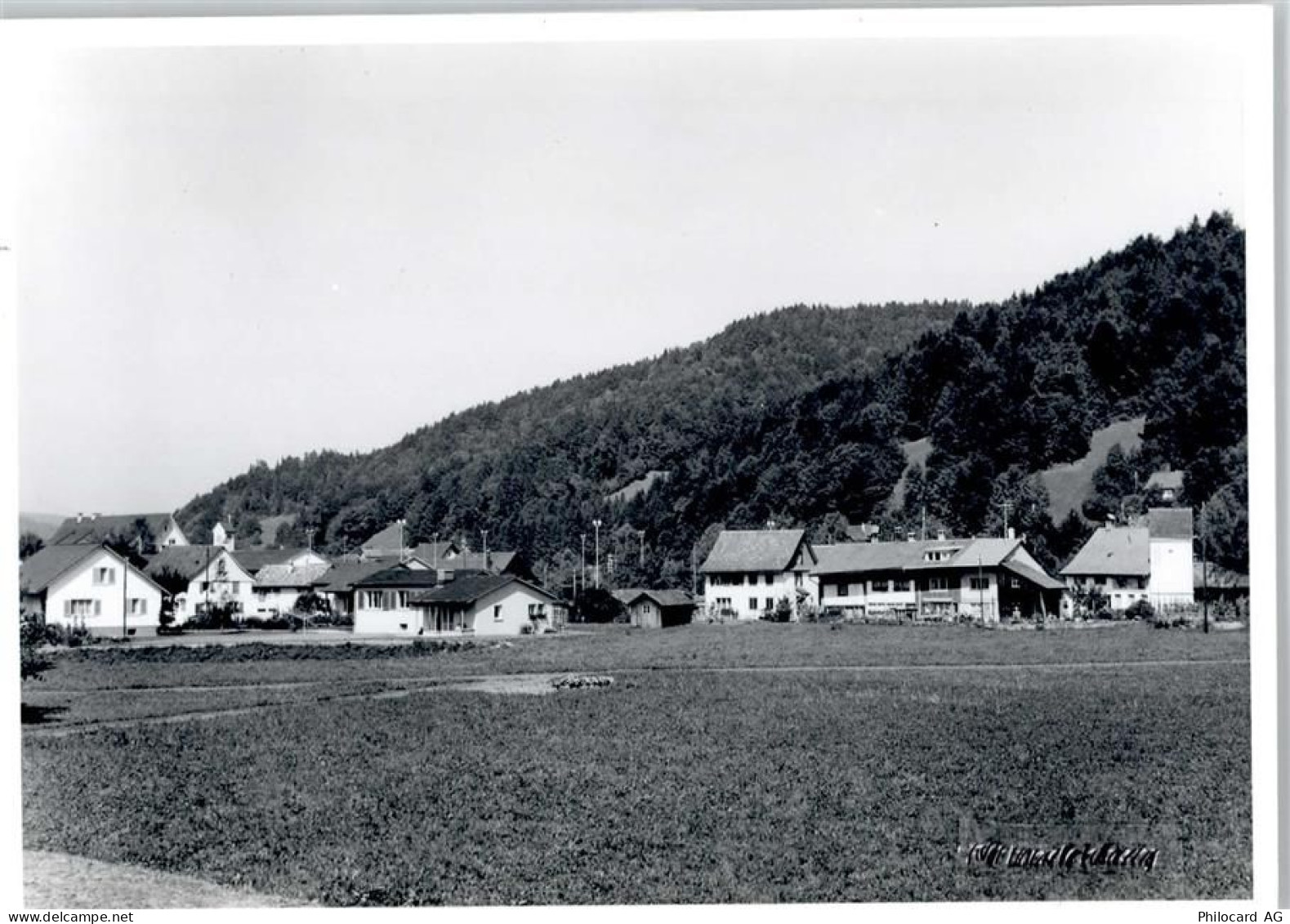 8494 Bauma - 50798899