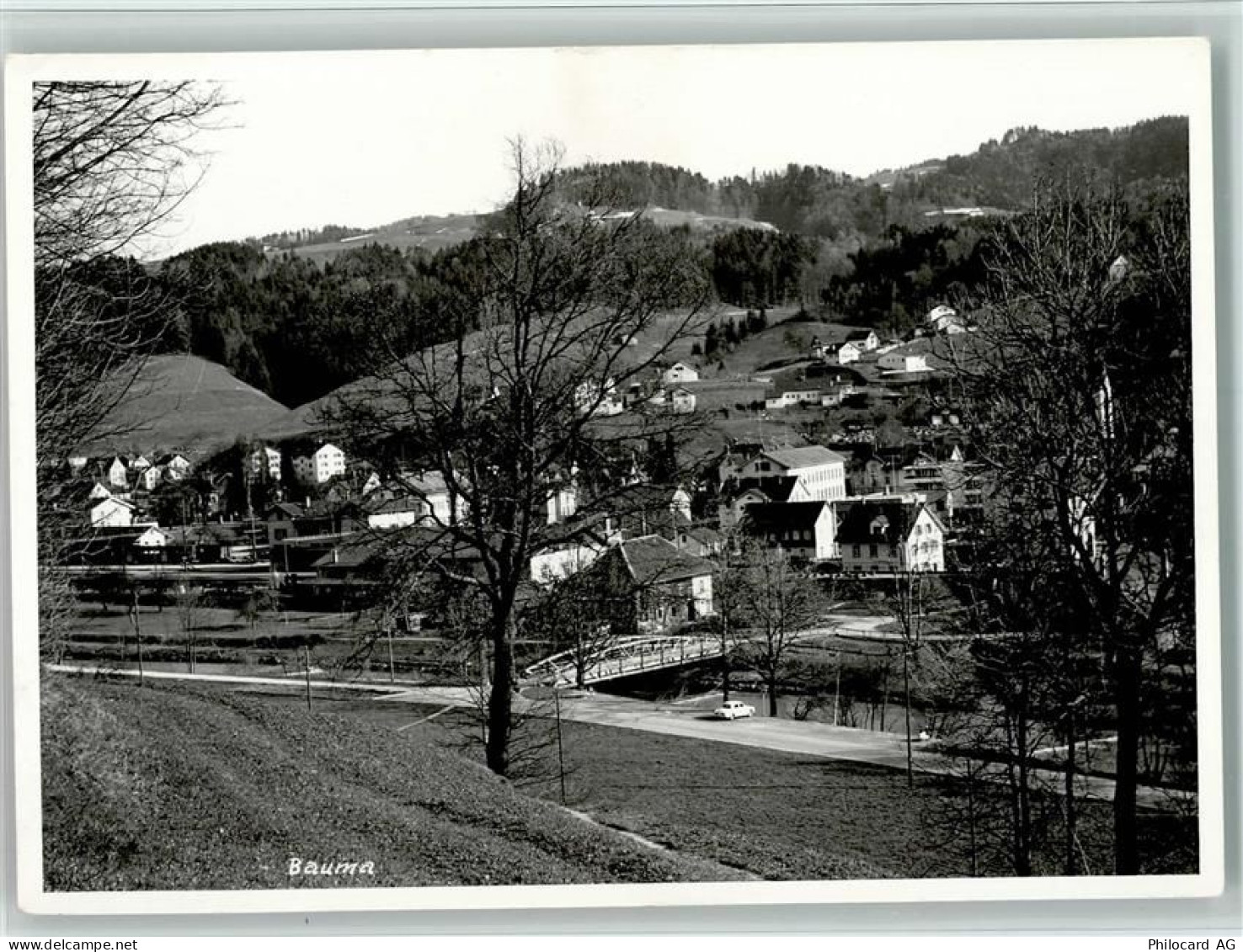 8494 Bauma - Bäume - 13094519