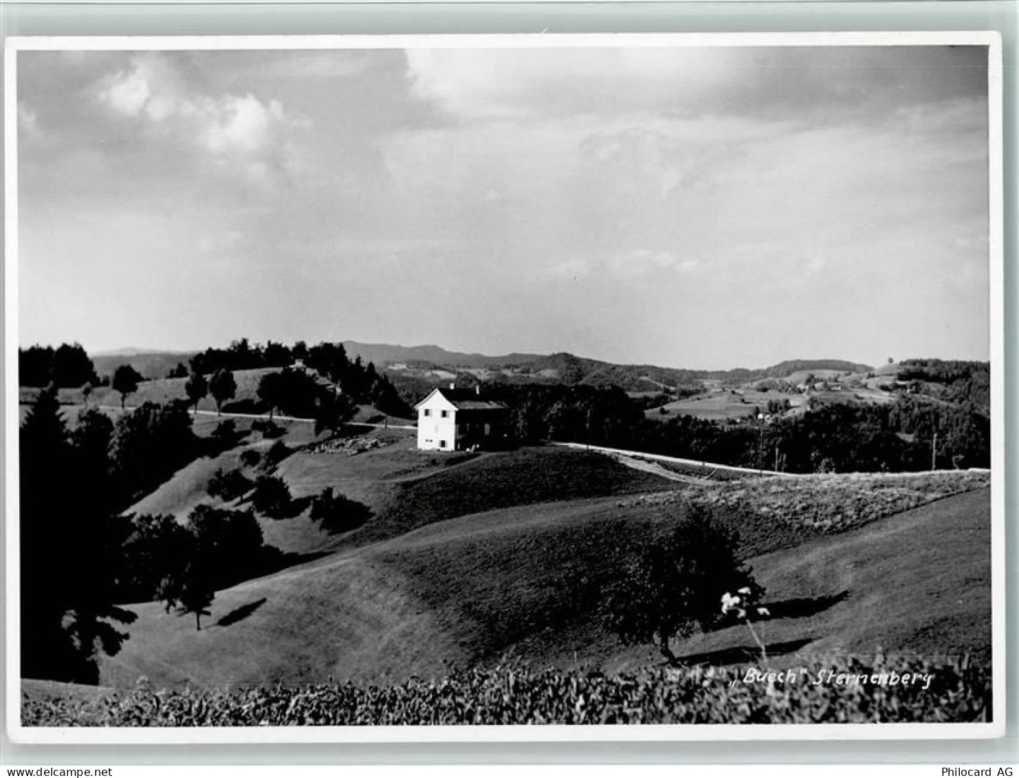 8494 Bauma - Buech Sternenberg - 10158013