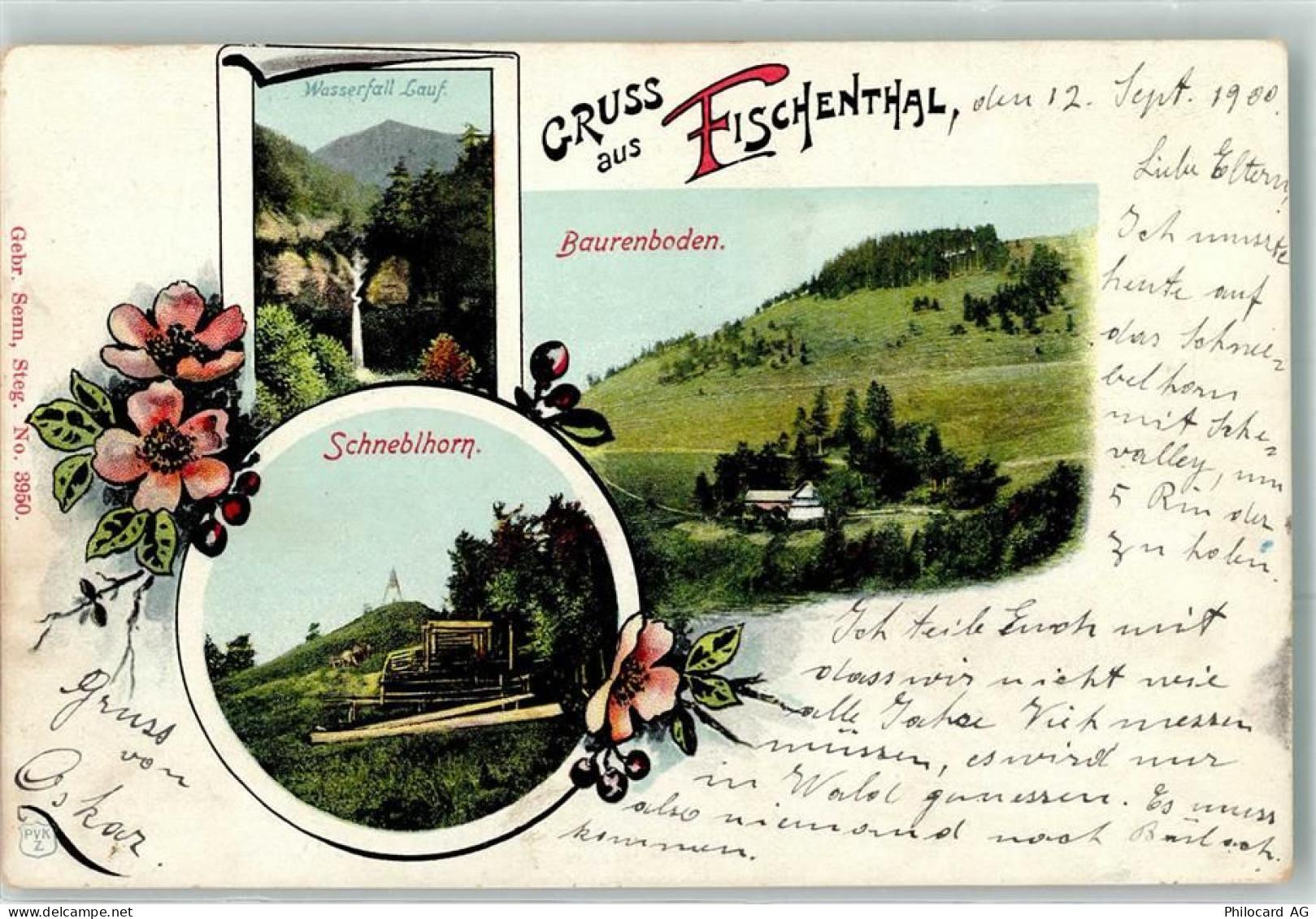 8497 Fischenthal 1900 - Wasserfall Lauf Schneblhorn Baurenboden - 13276543