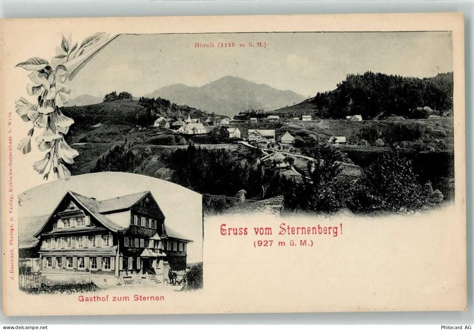 8499 Sternenberg 1908 - Gasthaus zum Sternen Hörnli - 13449450