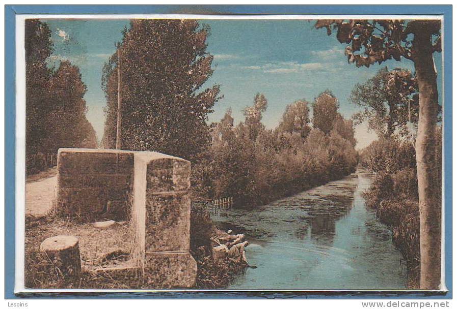 85 - MAILLEZAIS -- Entre Maillezais et Chaillé les Marais