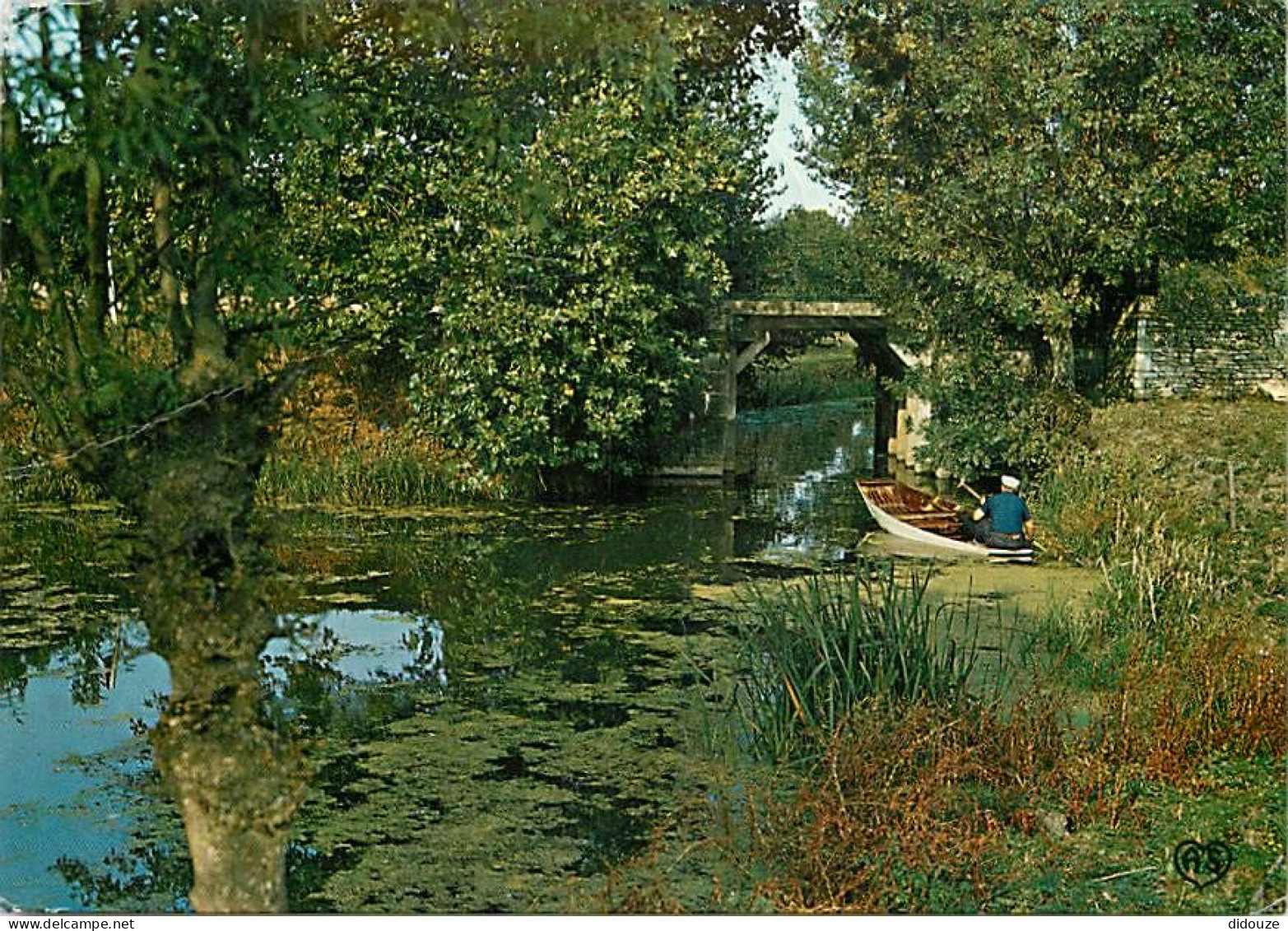 85 - Maillezais - Venise Vendéenne - Promenade au pied de l'Abbaye - CPM - Voir Scans Recto-Verso