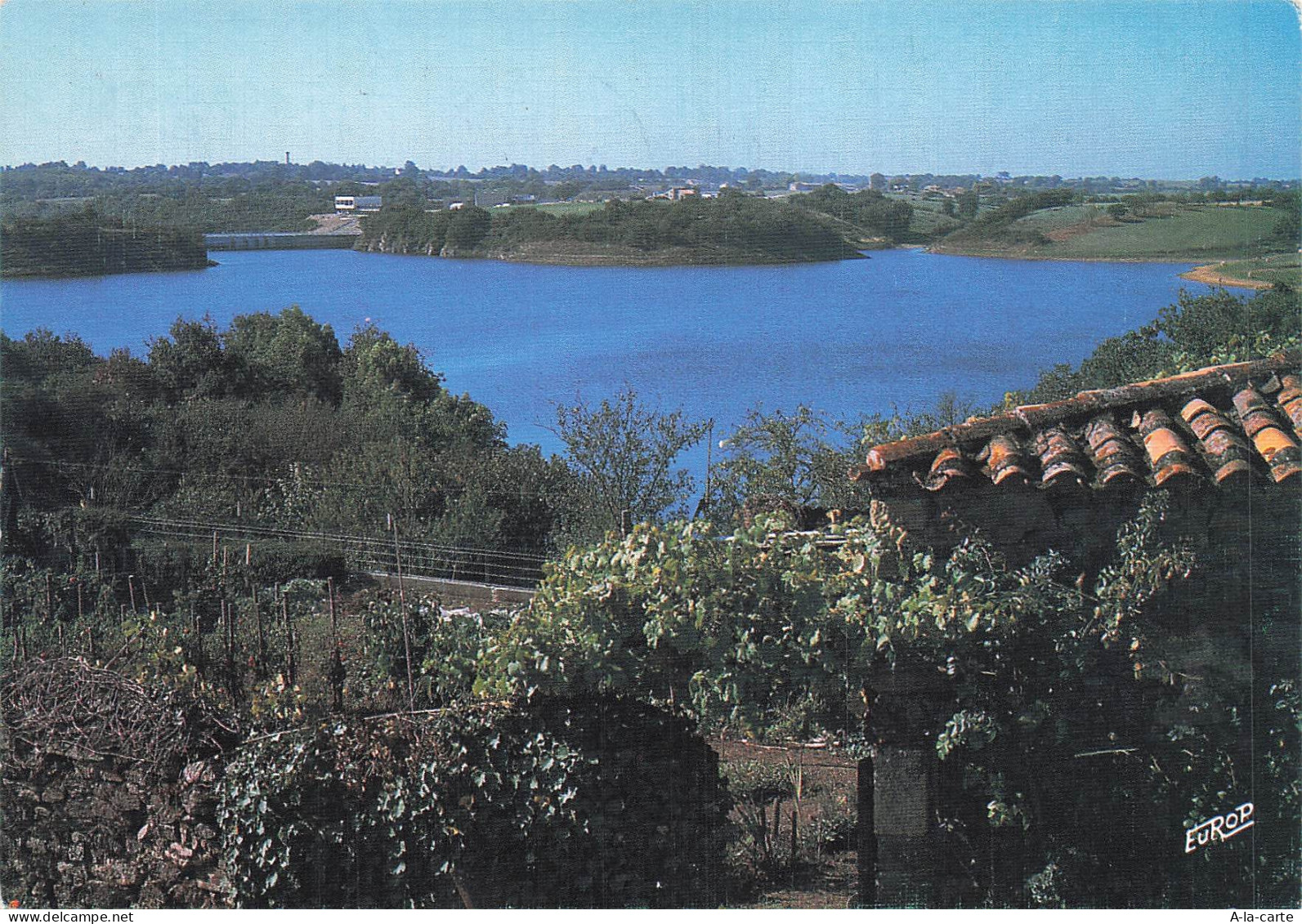 85 MAREUIL SUR LAY DISSAIS ENVIRONS DE MAREUIL: LE LAC DE CHATEAU GUIB