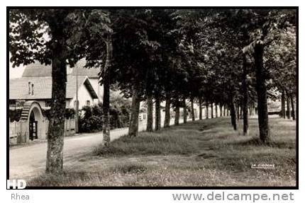 85 Montaigu 85.146.06 - MONTAIGU (Vendée) Les Olivettes les olivettes D85D K85146K C02498C RH003167